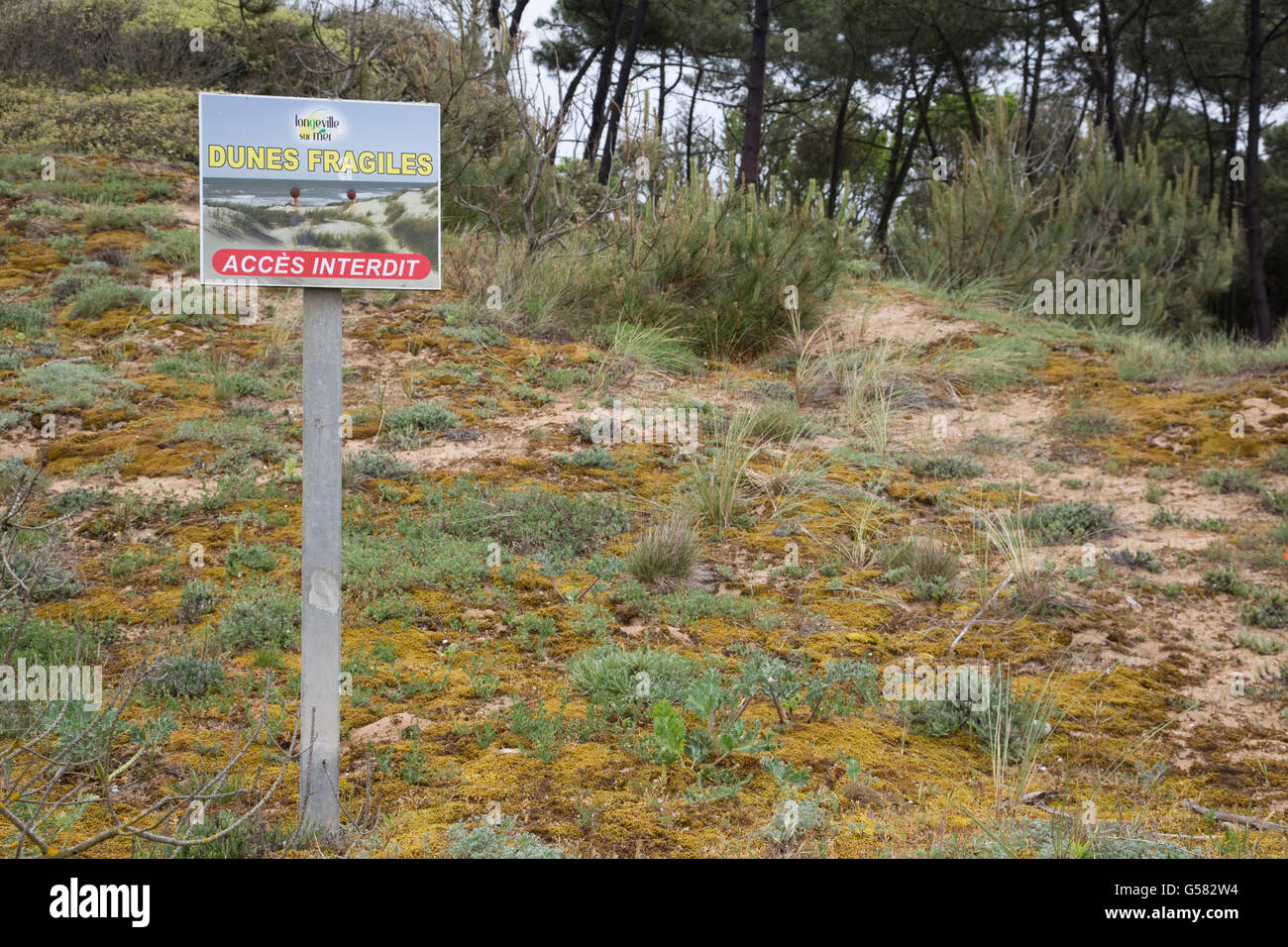 Dunes de sable fragile signer aucun accès Longeville-sur-Mer France Banque D'Images