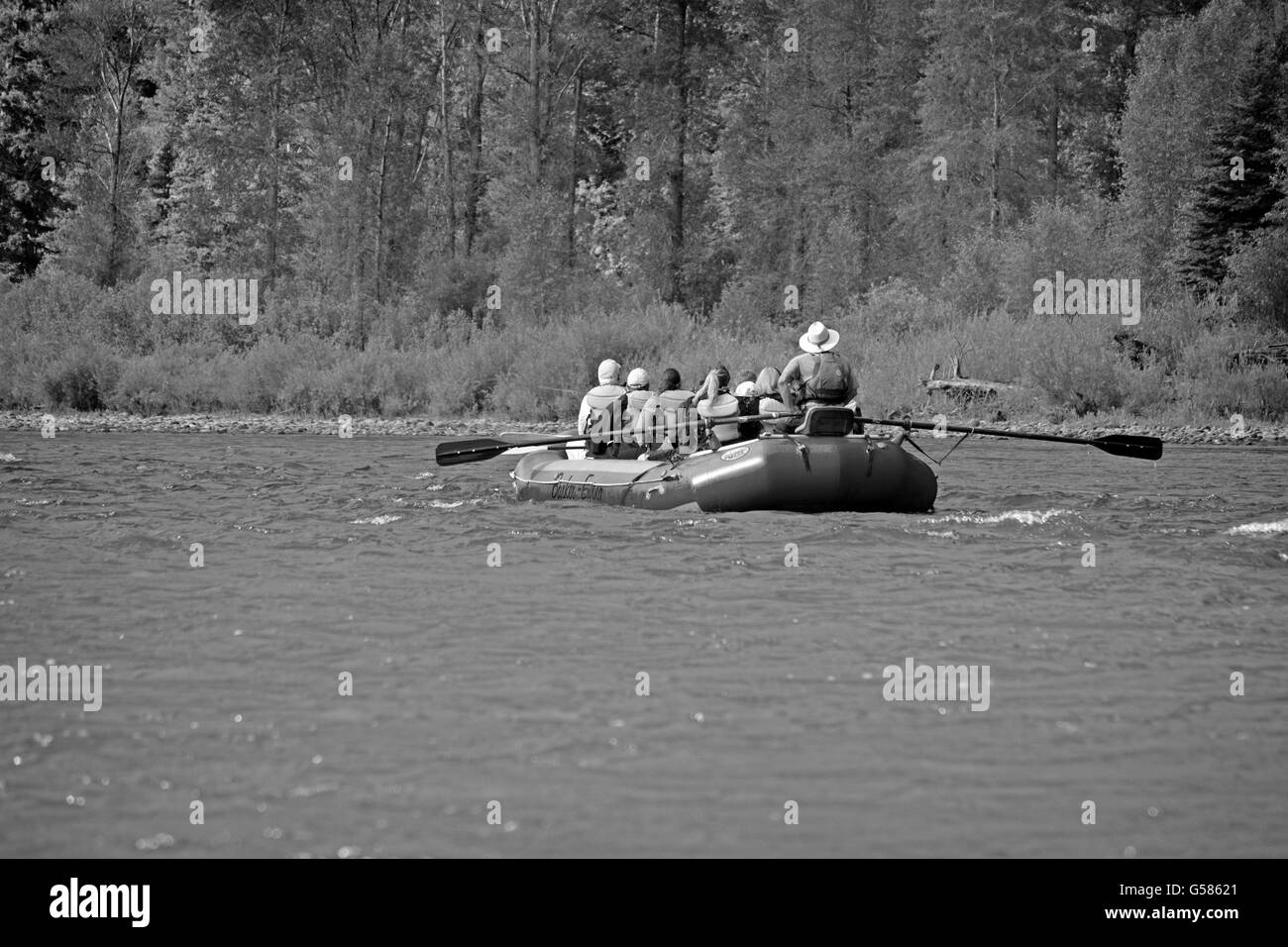 Rafting sur la rivière Snake dans le Wyoming USA Banque D'Images