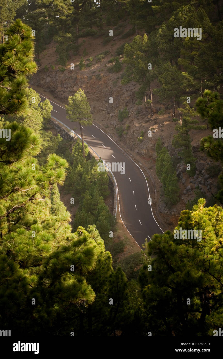 Une longue route sinueuse courbe courbes d'entraînement des pilotes au volant des routes vides de Top Gear à travers forêt lisse s sports dimanche matin Banque D'Images