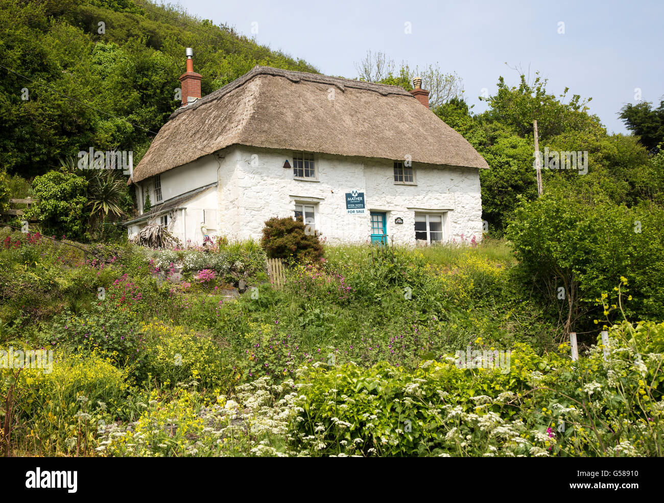Joli Cottage blanchis à la chaume maison à vendre, Powerstock, Péninsule du Lézard, Cornwall, England, UK Banque D'Images