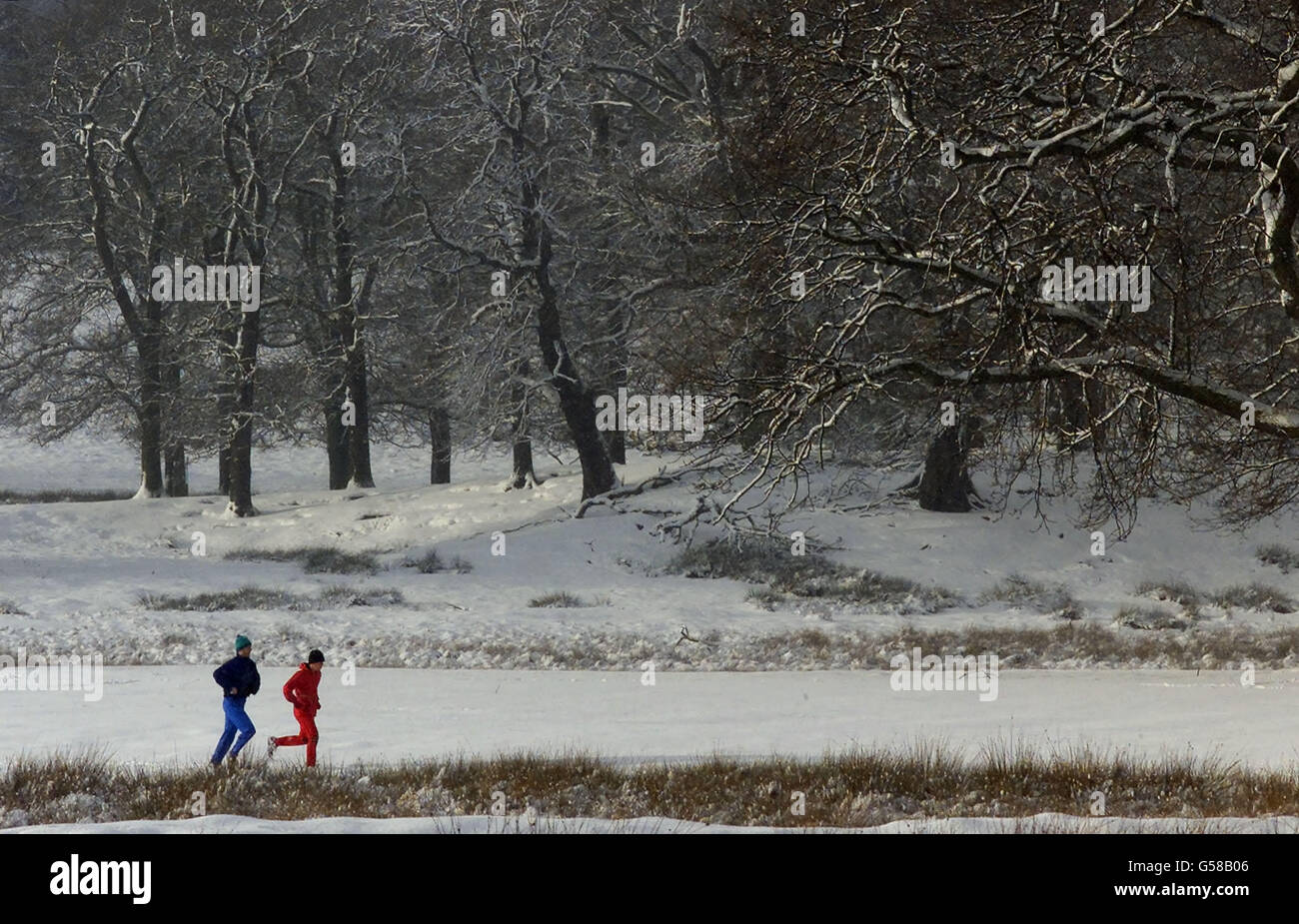 Les joggeurs brave la neige dans le parc Tatton à Cheshire, après que le traîneau et la neige ont balayé une grande partie de la Grande-Bretagne pendant la nuit. Les conditions de gel menacent le chaos sur les routes lorsque des millions de navetteurs se redirigent vers le travail. Six pouces de neige sont tombés dans certaines parties du pays de Galles. * alors que les conditions arctiques se déplaceront vers l'est à travers le pays, blanketing les Midlands, le West Country et Gloucestershire. Banque D'Images