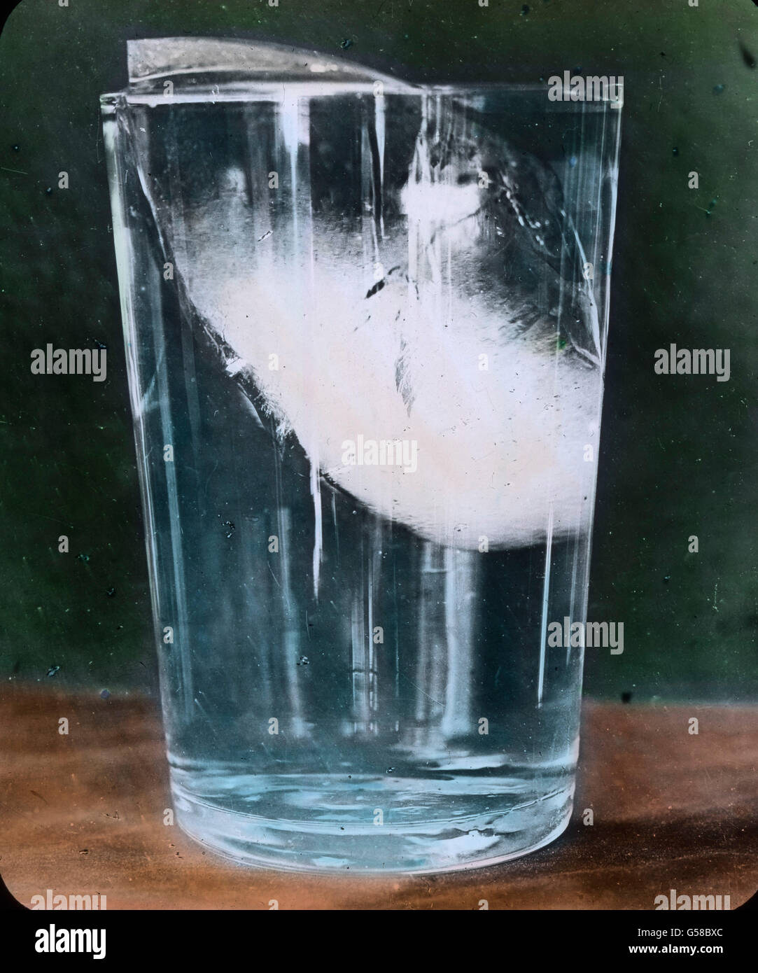 Schematische Darstellung: EIS im Wasserglas. Ein Achtel des Eises ist unter dem Wasserspiegel. Verkleinertes Schicksal für die RMS Titanic. Le premier voyage du Titanic 1912, le désastre du Titanic, version avec verre d'eau: Un huitième de glace dans l'eau. Histoire, historique, Carl Simon, glissement de verre de couleur main Banque D'Images