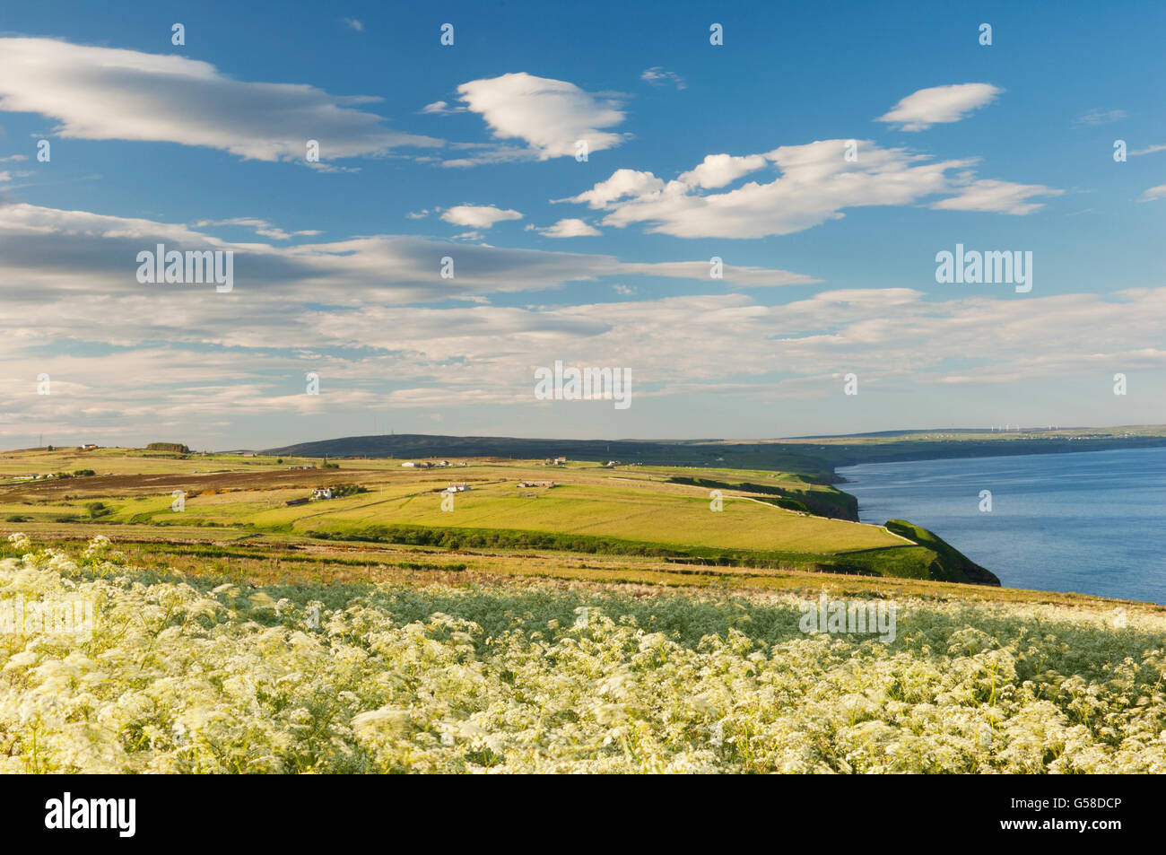 La côte de Caithness près du village de Dunbeath, à partir de la côte nord de l'Ecosse - Route 500. Banque D'Images