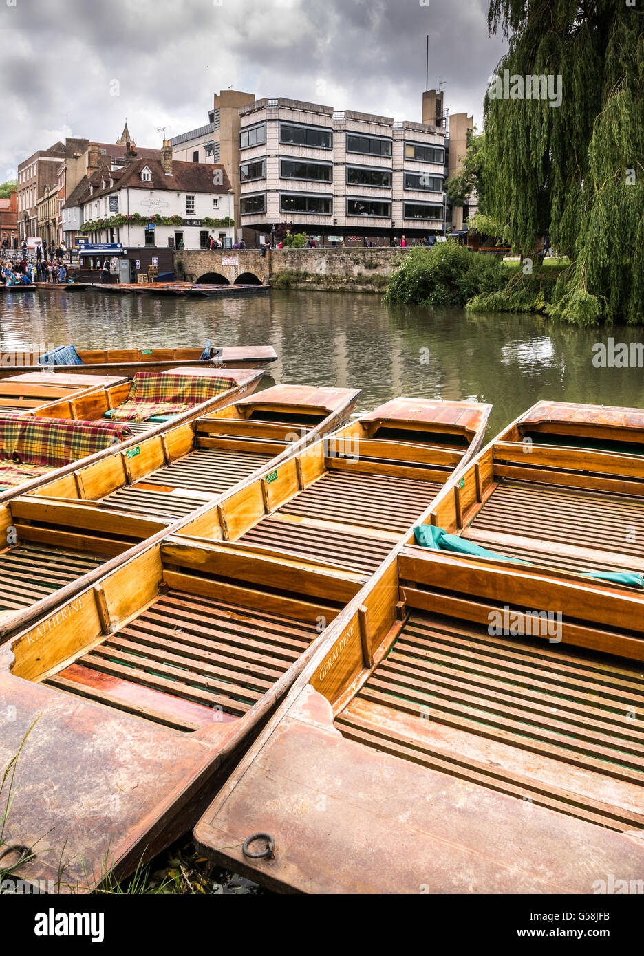 Rangée de punts vide amarré sur la rivière Cam à Cambridge, Angleterre. Banque D'Images