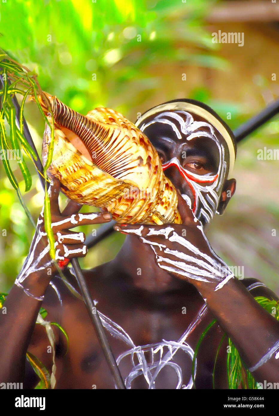 L'île Trobriand guerrier dans festival culturel tribal dress blowing sur corne shell à Alotau, Papouasie Nouvelle Guinée. Banque D'Images