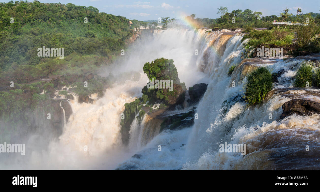 Chutes d'Iguaçu, l'Argentine, l'Amérique du Sud Banque D'Images