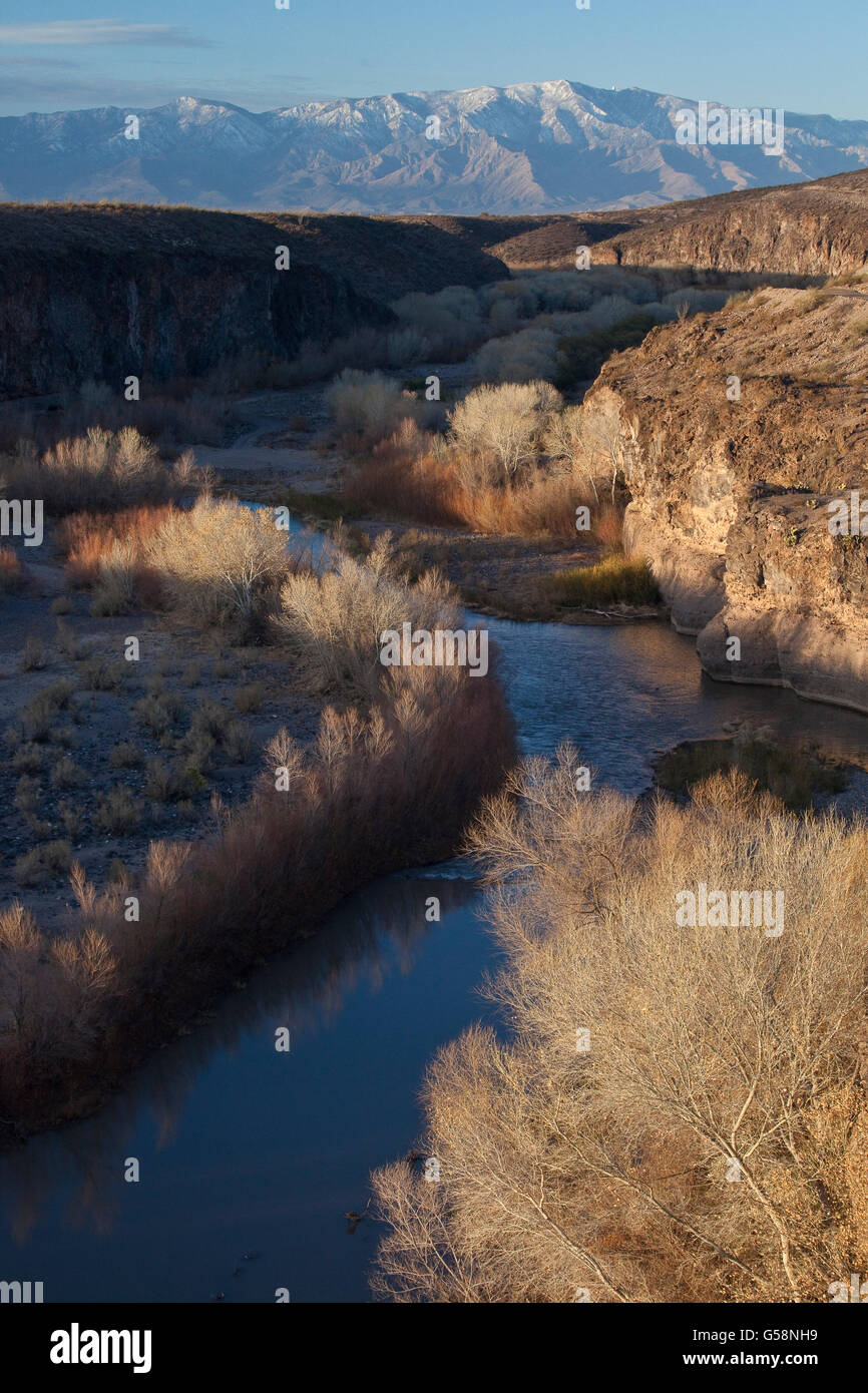 La Gila River qui traverse des peupliers dans le Gila fort Riparian National Conservation Area près de Clifton, l'Arizona. Banque D'Images