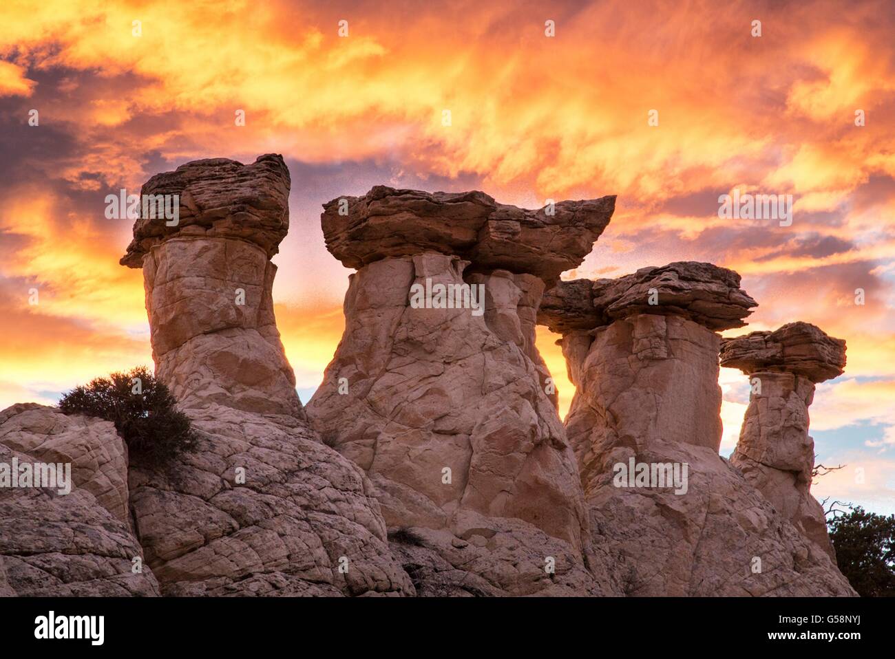 Toadstool hoodoos appelé rimrocks en forme au lever du soleil dans le Grand Staircase Escalante National Monument près de Kanab, Utah. Banque D'Images