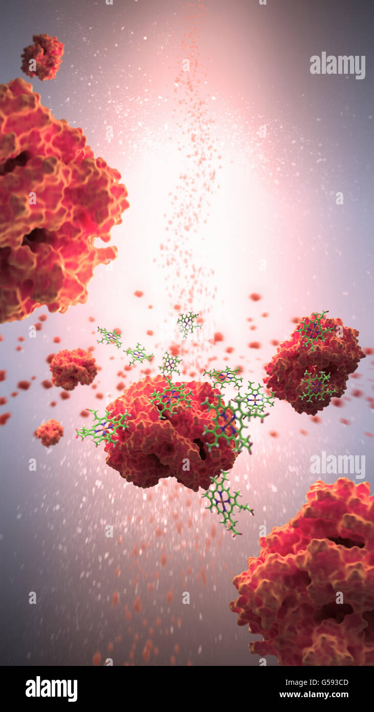 L'hémoglobine (en rouge) est une protéine dans le sang qui transporte l'oxygène de l'organes respiratoires au reste du corps Banque D'Images