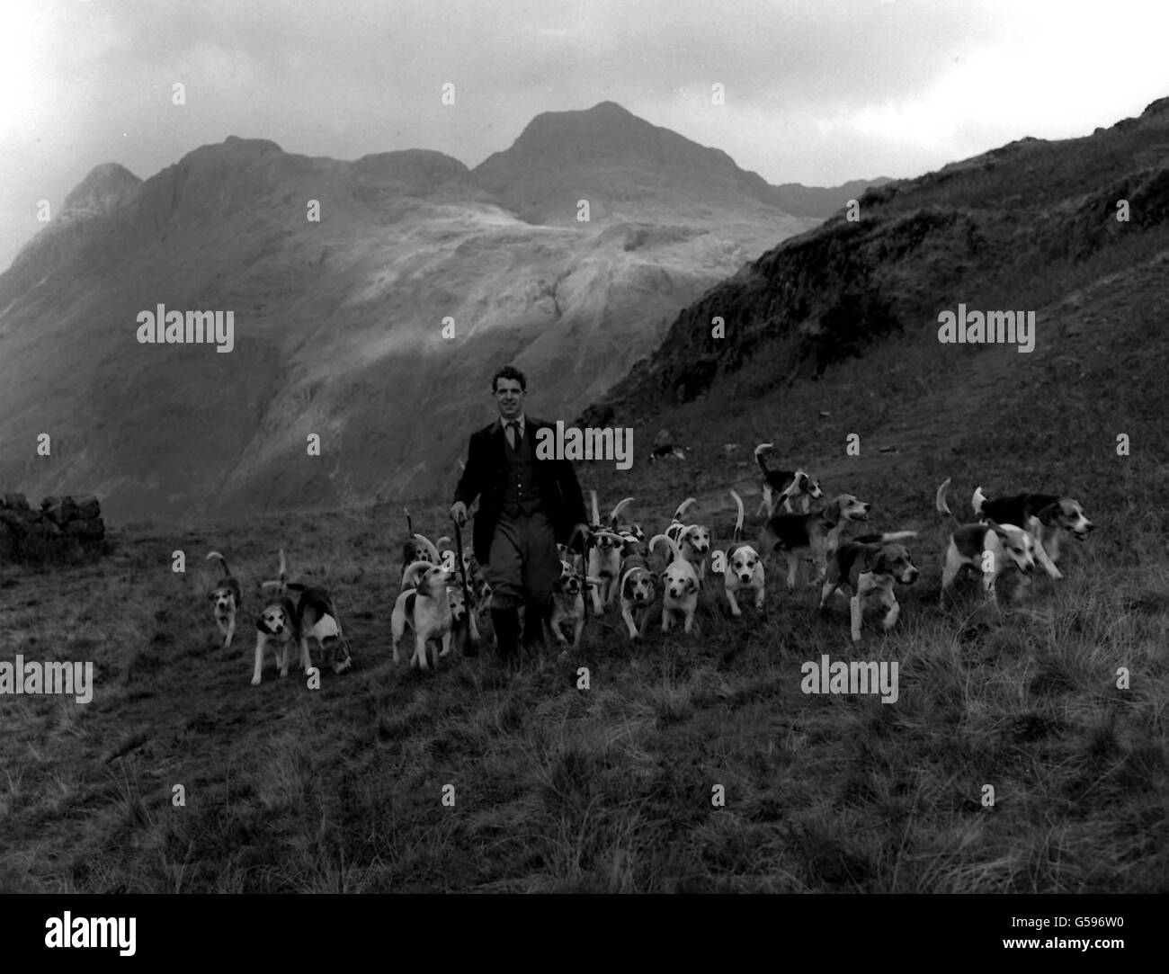 La CHASSE DANS LA RÉGION DE LAKE DISTRICT : 1961 Banque D'Images La CHASSE DANS LA RÉGION DE LAKE DISTRICT : 1961 Banque D'Images