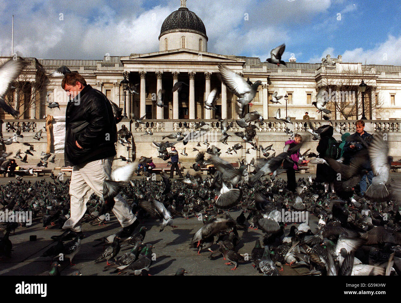 Vendeur d'alimentation pigeon Bernard Rayner Banque D'Images