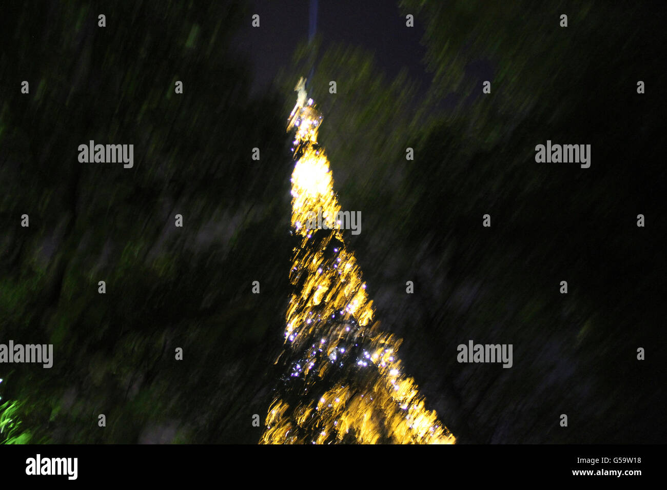 La tour Eiffel à travers les arbres. leafs créer un effet spécial Banque D'Images