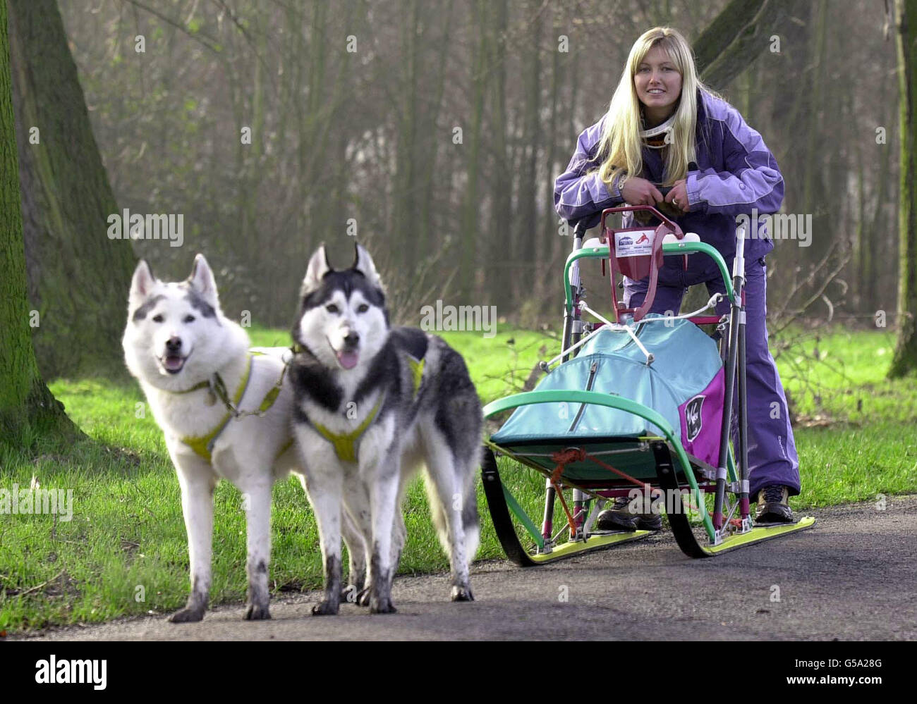 Hayley Warren, âgée de 22 ans, d'Eythorne, Kent, le dimanche 18 février 2001, se prépare au voyage d'une vie où elle prendra la tête d'un traîneau tiré par huit chiens husky et se dirige vers le cercle arctique.* Hayley devra se débrouiller pour elle-même pendant quatre jours après le départ du nord de la Finlande pour le voyage de collecte de fonds de charité.Elle a dit : « Je creuserai des trous dans la glace pour obtenir de l'eau douce et aussi pour essayer de pêcher pour moi et les chiens à manger ».Bien qu'elle soit en contact radio avec 13 autres qui font le voyage, elle n'aura aucune aide pour s'occuper de son paquet de chiens. Banque D'Images
