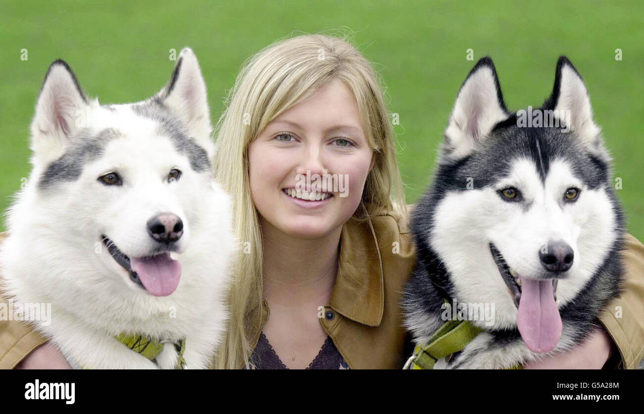 Hayley Warren & huskies Banque D'Images