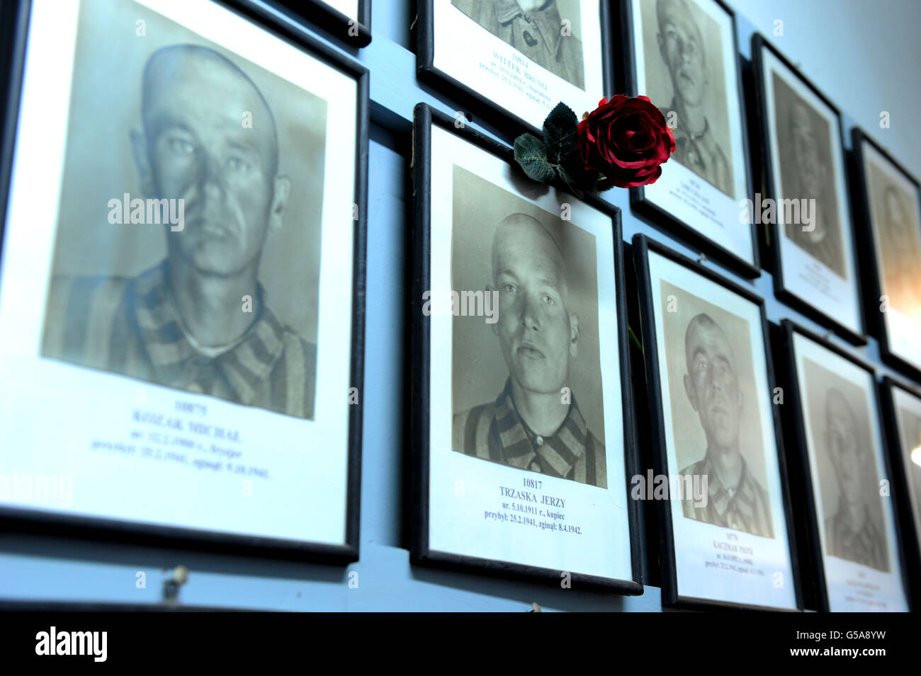 Stock Auschwitz. Camp de concentration d'Auschwitz en Pologne. Banque D'Images