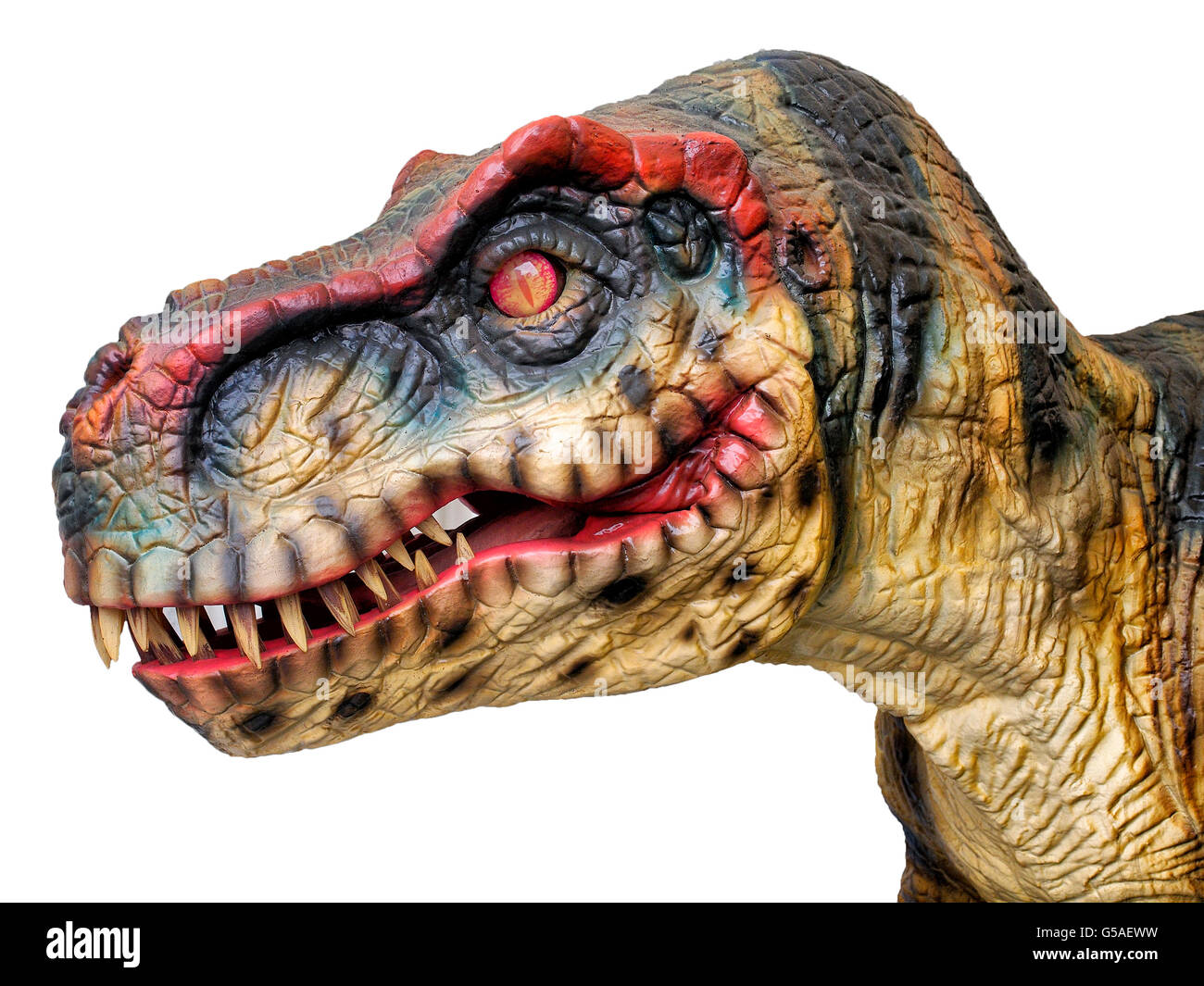 Chef d'un grand dinosaure T-Rex. Banque D'Images