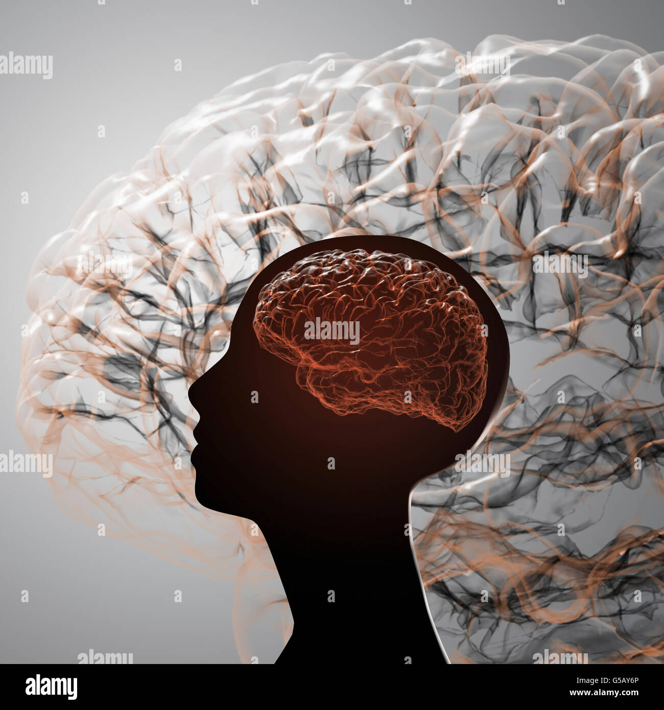 Le cerveau humain. Projection du cortex cérébral Banque D'Images Le cerveau humain. Projection du cortex cérébral Banque D'Images