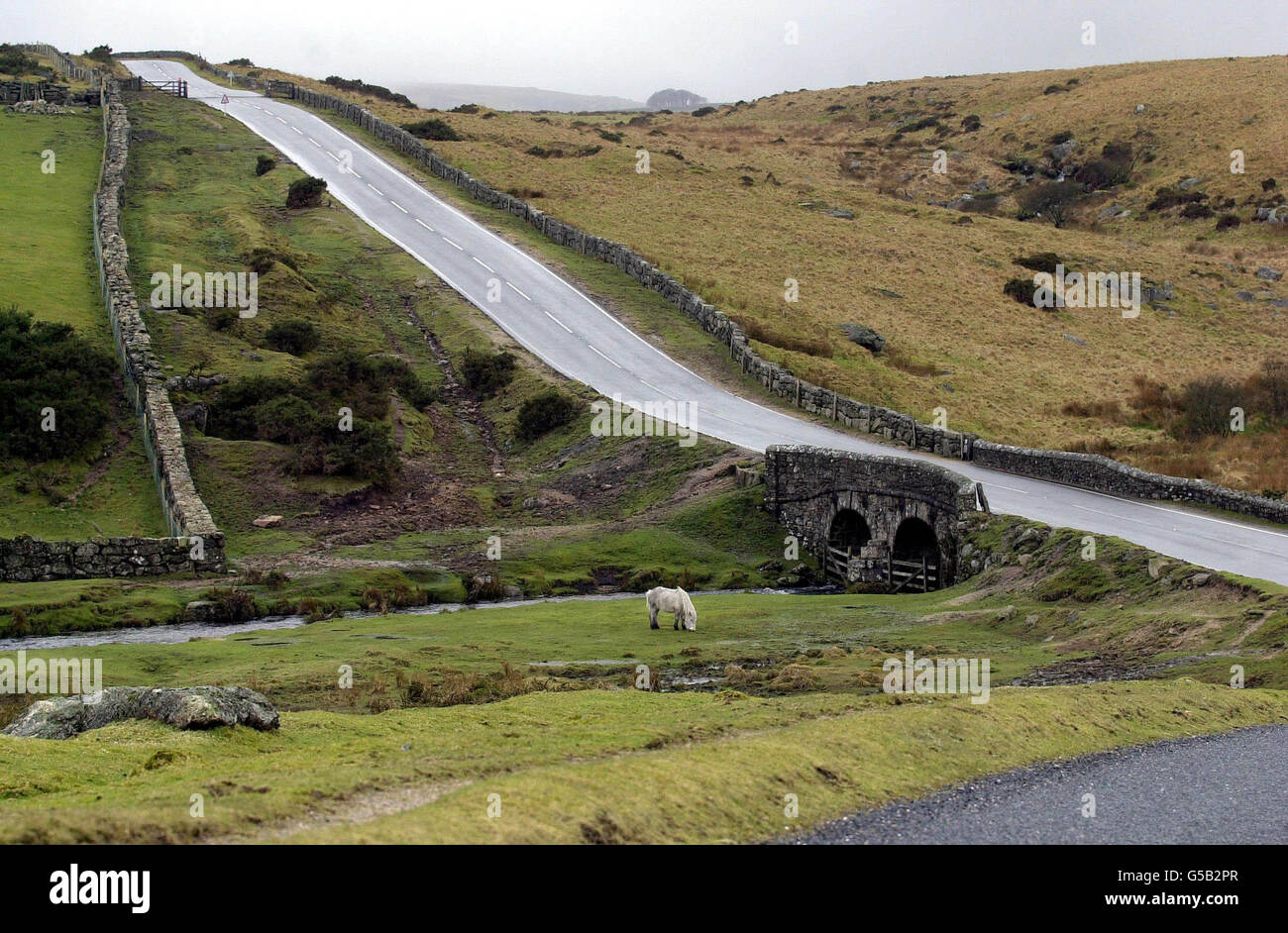 Le parc national de Dartmoor, près de Two Bridges, a déserté pendant que les visiteurs restent loin à cause de l'épidémie nationale de disées de pied et de bouche. * 10/3/2001 Parc national de Dartmoor près de deux ponts : une campagne pour mettre fin à deux siècles d'entraînement militaire sur Dartmoor a été lancée par la Société des espaces ouverts. Les permis d'entraînement militaire sur le parc national du Devon, qui a été fortement utilisé par les troupes britanniques et américaines pendant la Seconde Guerre mondiale, sont en cours de renouvellement en 2012. la secrétaire générale de la société, Kate Ashbrook, a déclaré aujourd'hui qu'elle avait écrit aux États-Unis de la Défense pour demander tout plan d'augmentation des investissements dans le Banque D'Images