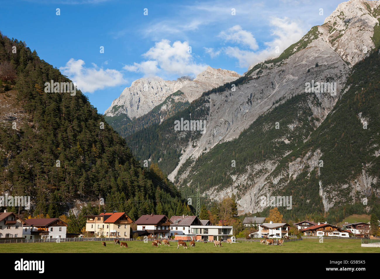 Alpes, village alpin dans la vallée, Allemagne Banque D'Images