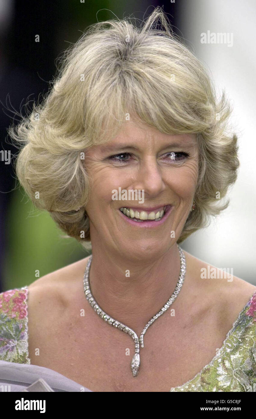 Camilla Parker-Bowles au dîner de gala caritatif « sa mode » au Waddesdon Manor.Le dîner est à l'aide du fonds de secours contre le cancer McMillan.28/02/02 : Camilla Parker-Bowles a été jeudi 28 2002 février, réalisant son premier engagement public en tant que présidente de la Société nationale d'ostéoporose.Lors d'une réception au Ritz, elle a lancé un guide sur la vie saine produit par l'organisme de bienfaisance, qui se consacre à la lutte contre la maladie osseuse fragile.Plusieurs célébrités de la société étaient également présentes, dont les actrices Dame Maggie Smith et Barbara Windsor, et l'auteur Jilly Cooper.Madame Banque D'Images