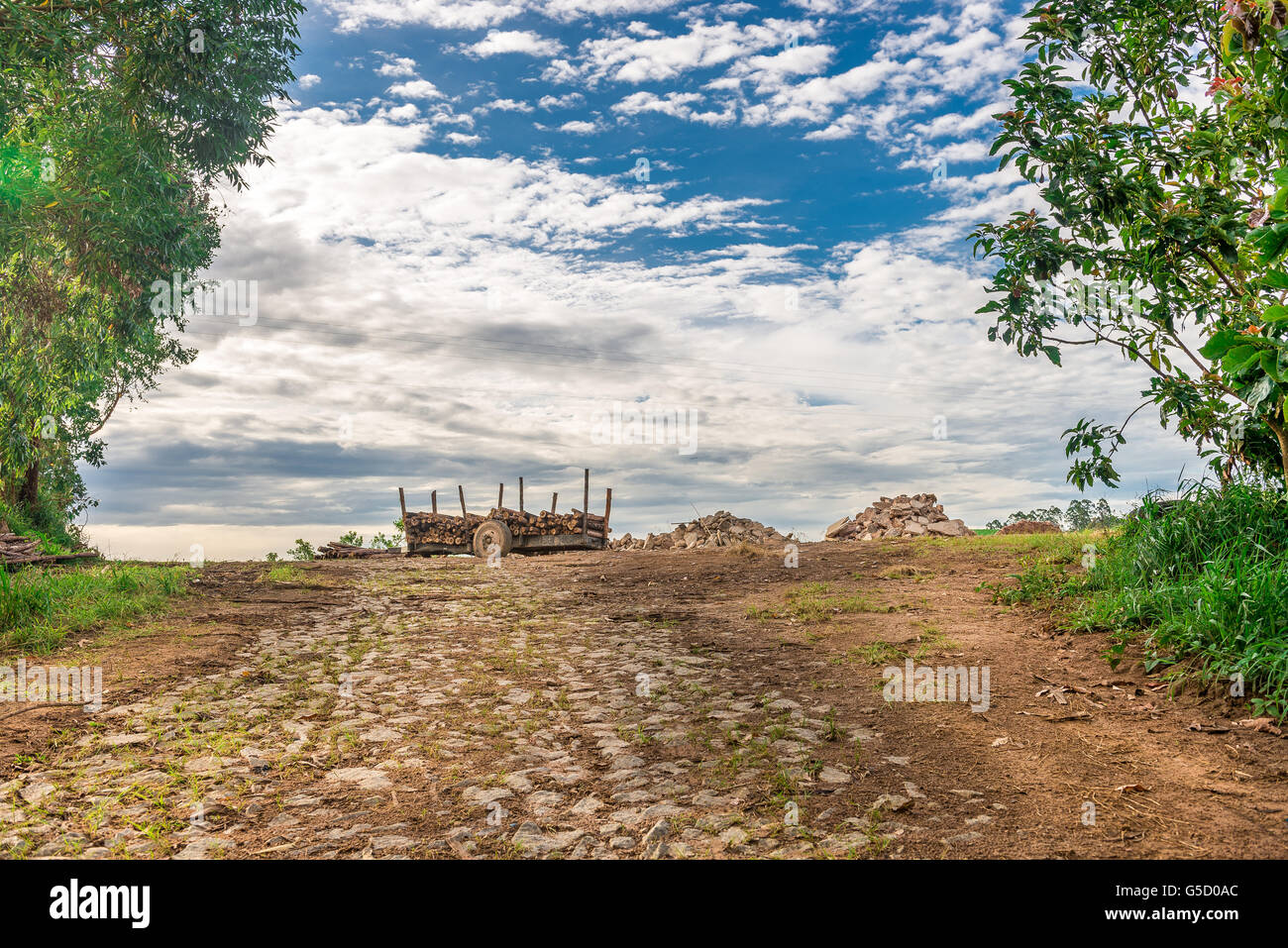 Vieille porte au milieu de la nature en route de campagne, Minas Gerais, Brésil. Banque D'Images