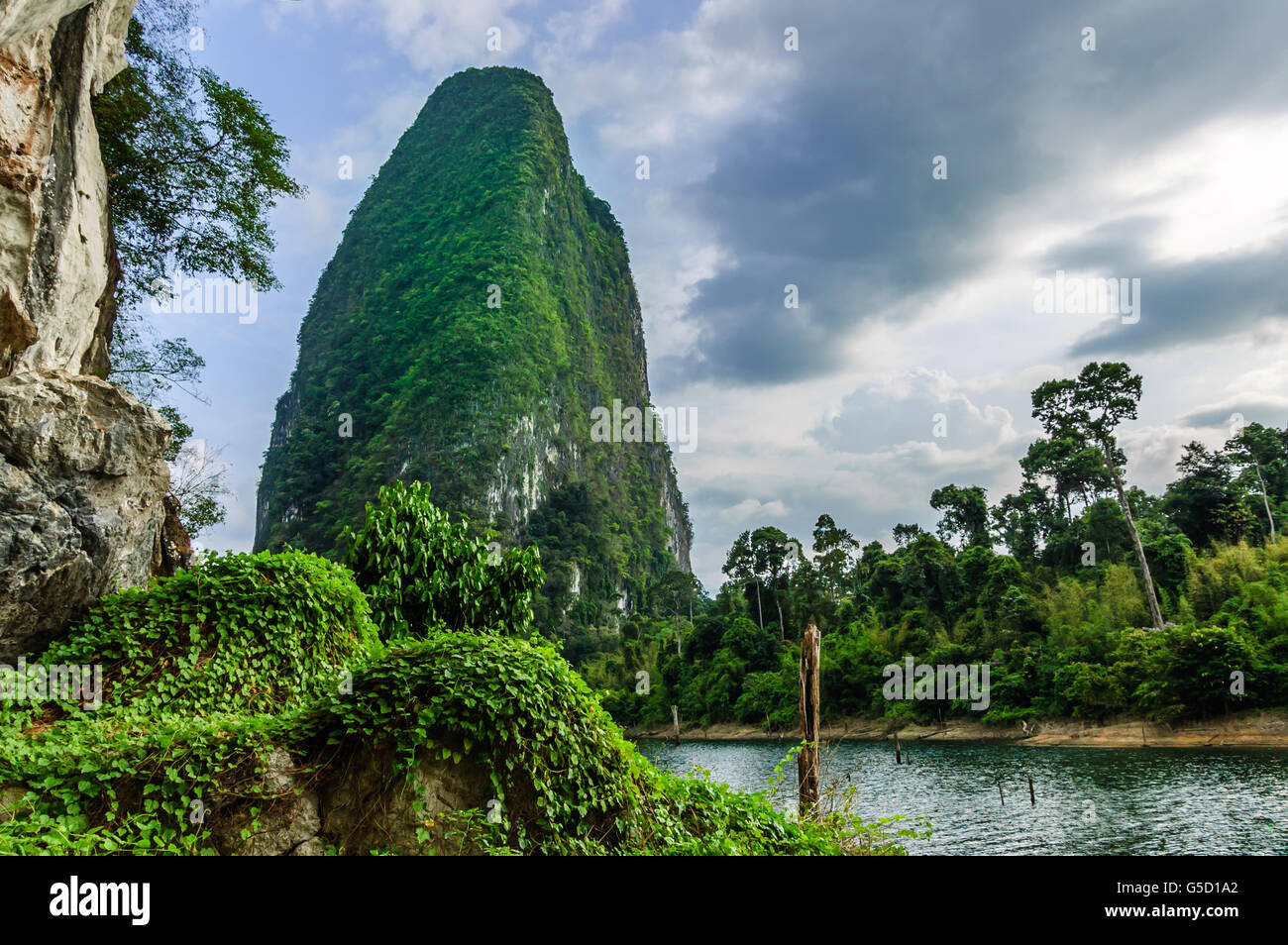 Végétation luxuriante sur rocher géant au lac cheow lan au coeur de parc national de Khao Sok dans la province de Surat Thani, Thaïlande Banque D'Images