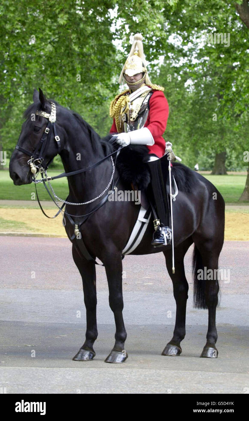 Premier officier noir des Life Guards, le capitaine Justin Butah, né au Ghana, pose en uniforme de cérémonie à la caserne Knightsbridge à Londres, avant son rôle clé dans le défilé d'anniversaire du Trooping de la Reine.* le capitaine Justin Butah se mettra au volant de la voiture de la Reine comme commandant d'escorte le 16/06/2001. Banque D'Images