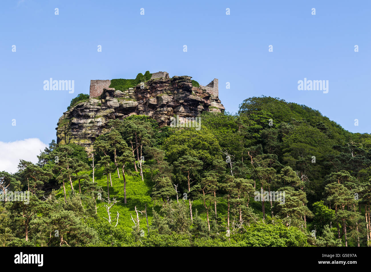 Les ruines d'un château au sommet d'un héritage anglais rocheux à Beeston Cheshire, entouré de forêts. Banque D'Images