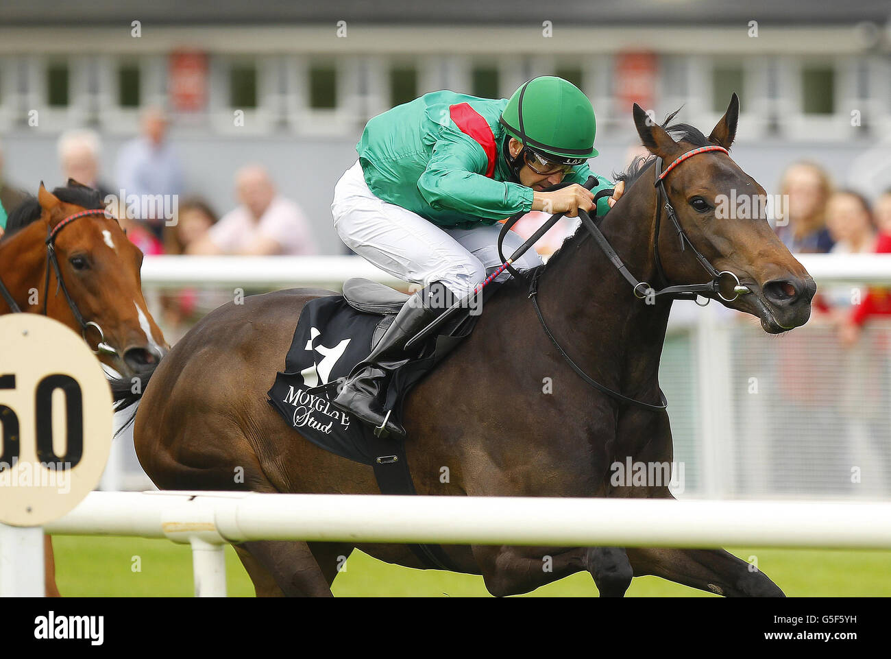 Les courses de chevaux - Moyglare Stud Stakes jour - Le Curragh Banque D'Images