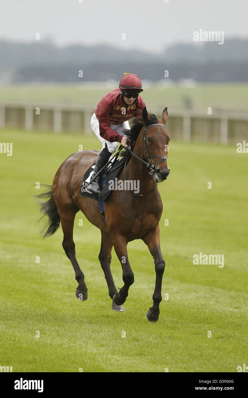 Course de chevaux - Moyantireflet Stud Stakes Day - The Curragh.Note harmonique sous le jockey Gary Carroll qui a couru pendant la Journée des piquets de Moyantireflet au Curragh Racecourse, Co Kildare, Irlande. Banque D'Images