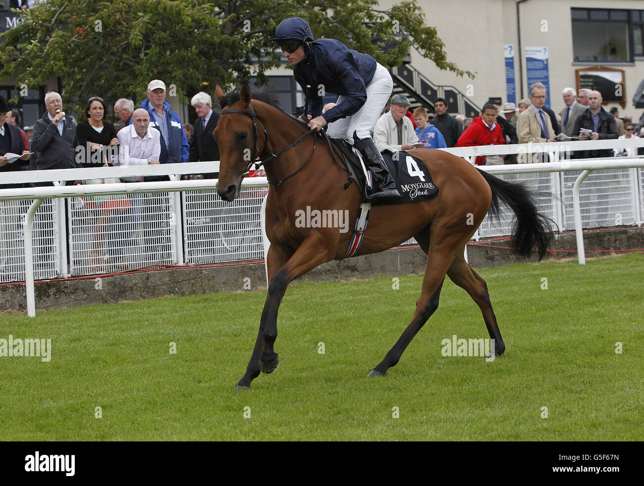 Les courses de chevaux - Moyglare Stud Stakes jour - Le Curragh Banque D'Images