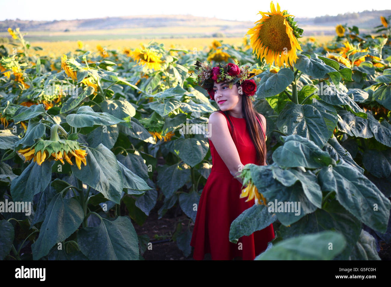 Preteen avec couronne dans un champ de tournesols Banque D'Images