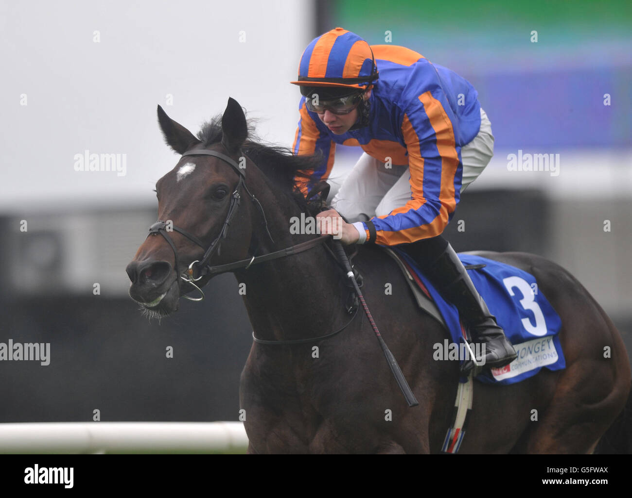 Joseph O'Brien, un magicien crié, remporte la Mongey Communications European Breeders Fund Maiden pendant les Hacketts Bookmakers Irish Cesarewitch/Staffordstown Stud Stakes au Curragh Racecourse, à Curragh. Banque D'Images