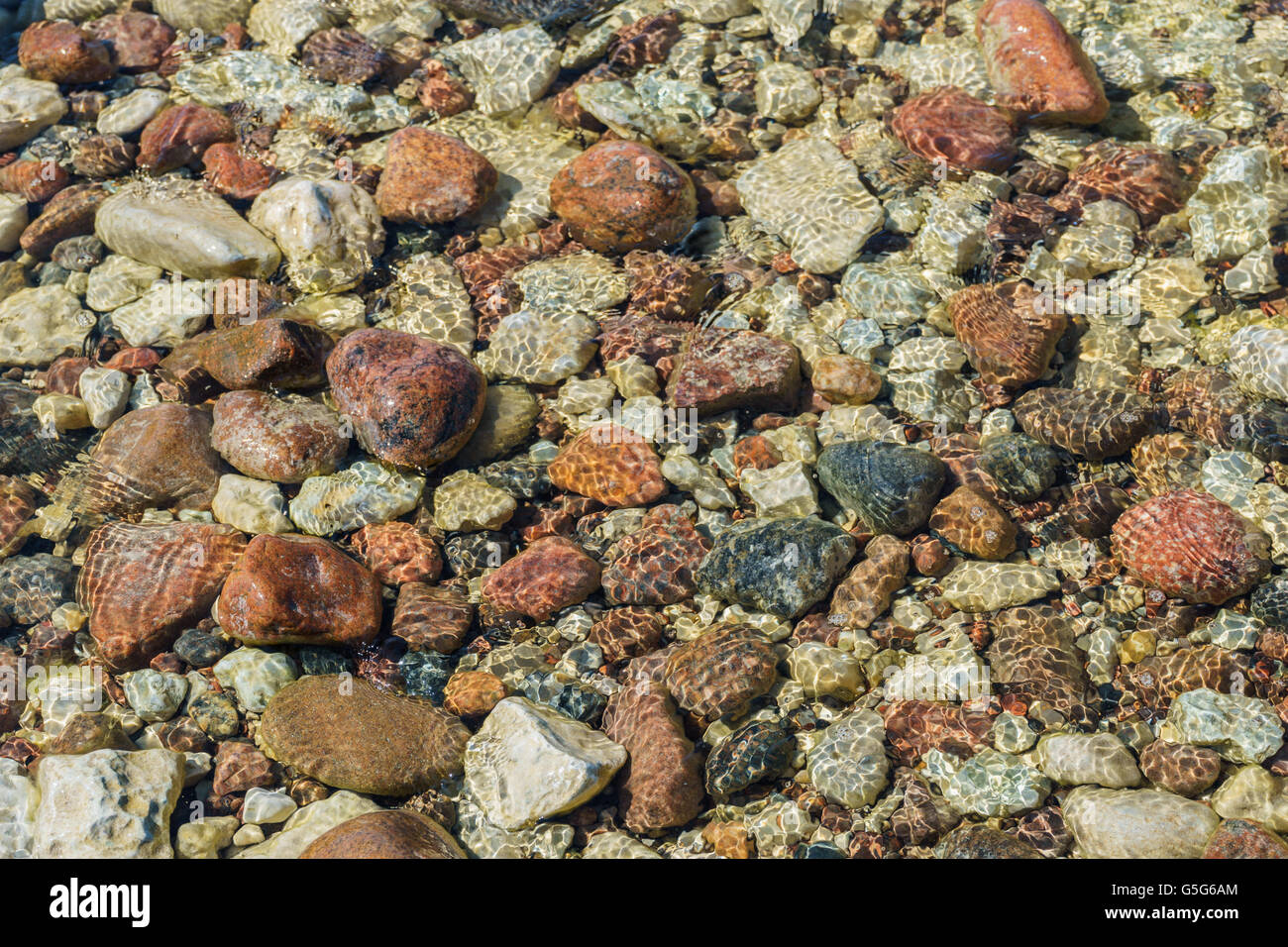 Rocky lit de la mer, l'arrière-plan et la couleur des pierres de taille différente à travers l'eau transparente Banque D'Images