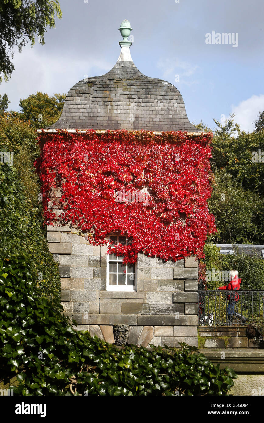 Temps d'automne septembre 30. Feuilles d'automne à Pollok Park à Glasgow, en Écosse. Banque D'Images