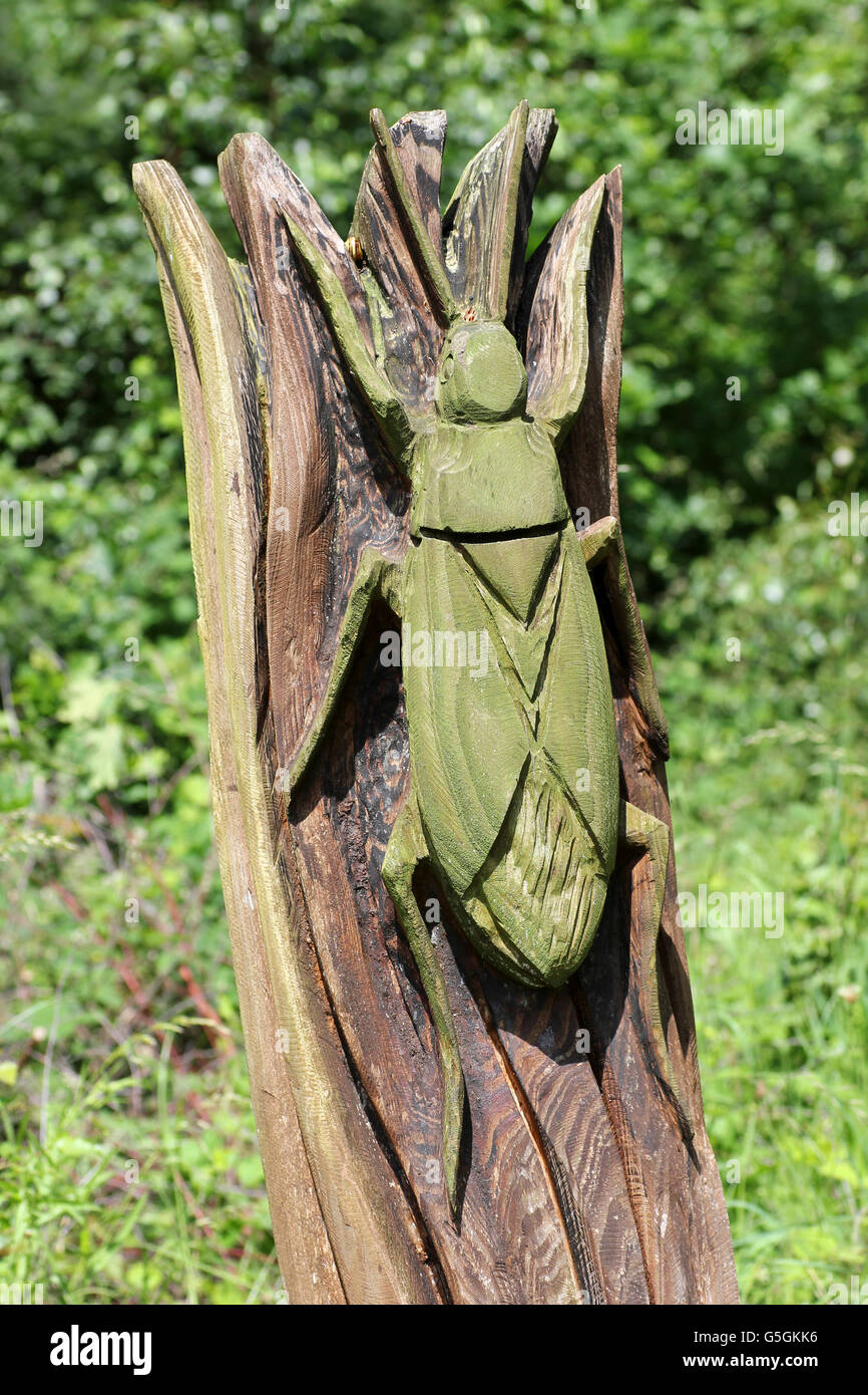 Sculpture en bois d'un scarabée / Bug Banque D'Images