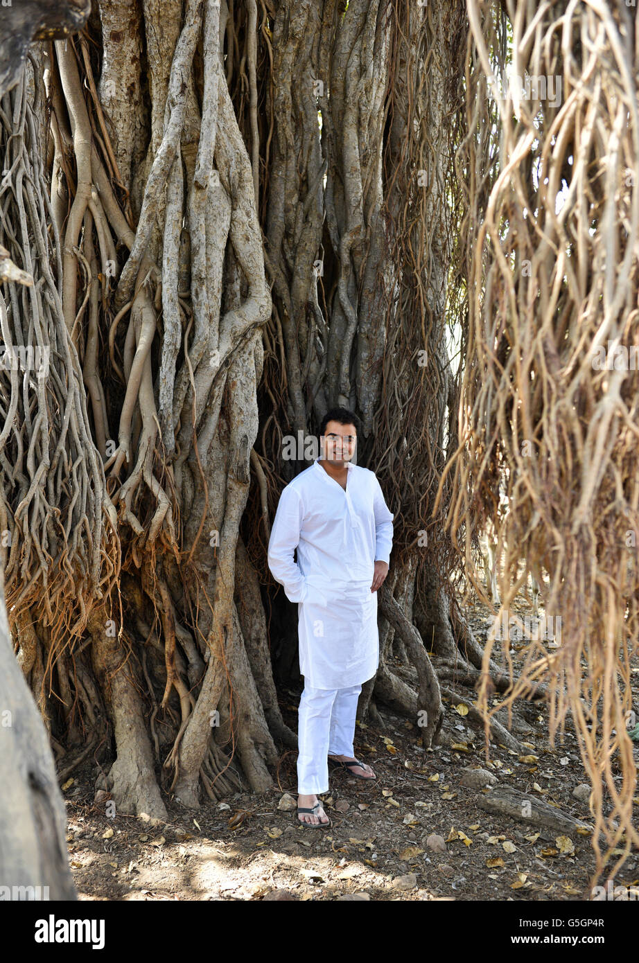 Couple woody tronc d'arbre avec des racines aériennes interconnectés à distinguer l'exploration de son identité. Banque D'Images