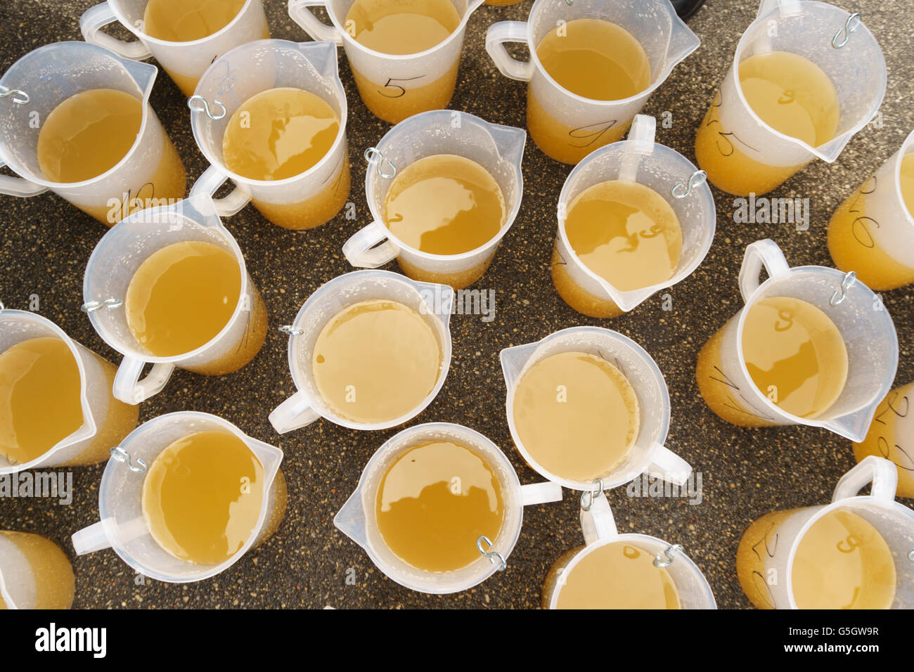 Réglage de la buse de pulvérisation du tracteur pour pulvérisateur insecticide fongicide pesticides Banque D'Images
