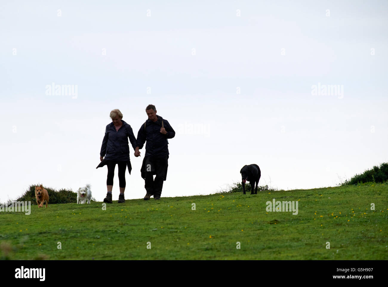 Couple avec trois chiens. Seaford Head, Sussex, Angleterre. Banque D'Images
