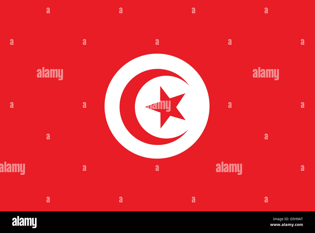 Drapeau national de la Tunisie. Banque D'Images