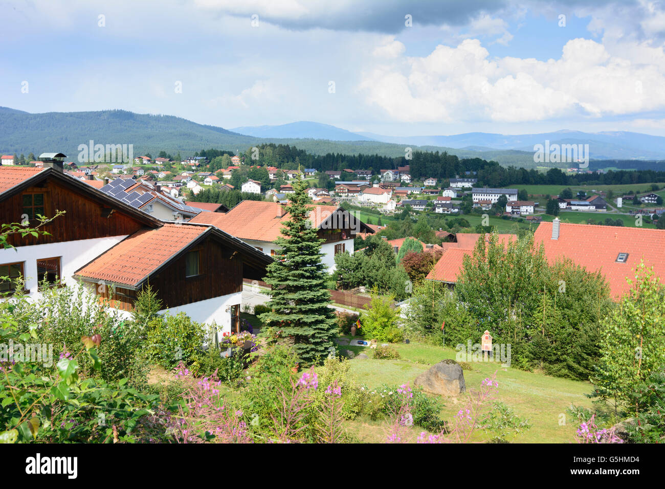 Langsdorf et la forêt de Bavière, Langdorf, Allemagne, Bavière, Bayern, Niederbayern, Basse-Bavière Banque D'Images