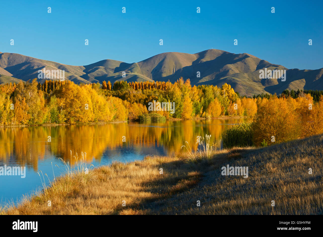 Réflexions d'automne dans Kellands étang, près de Twizel, District de Mackenzie, South Canterbury, île du Sud, Nouvelle-Zélande Banque D'Images