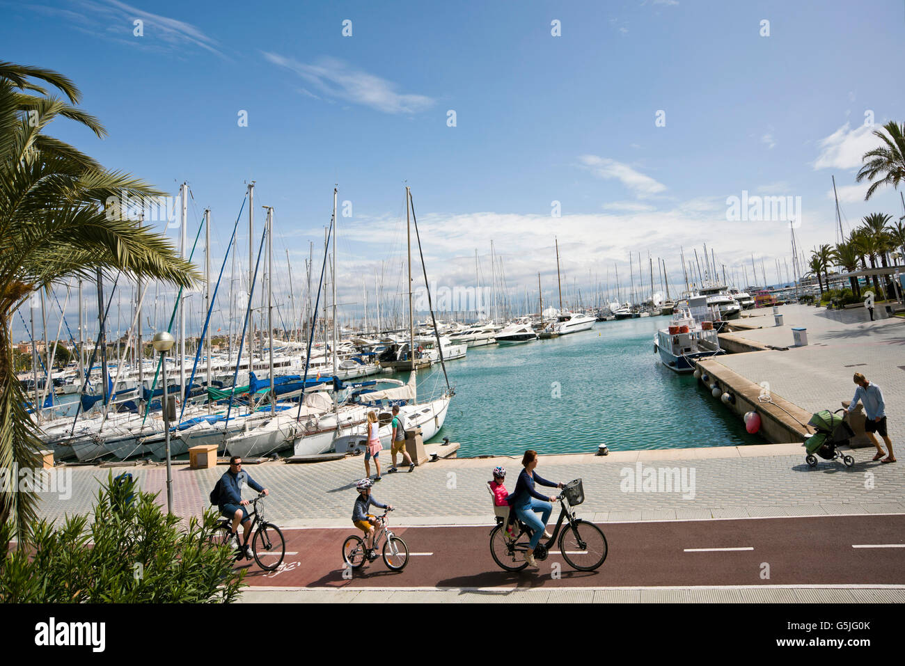 Vue horizontale de la marina à Palma, Majorque. Banque D'Images