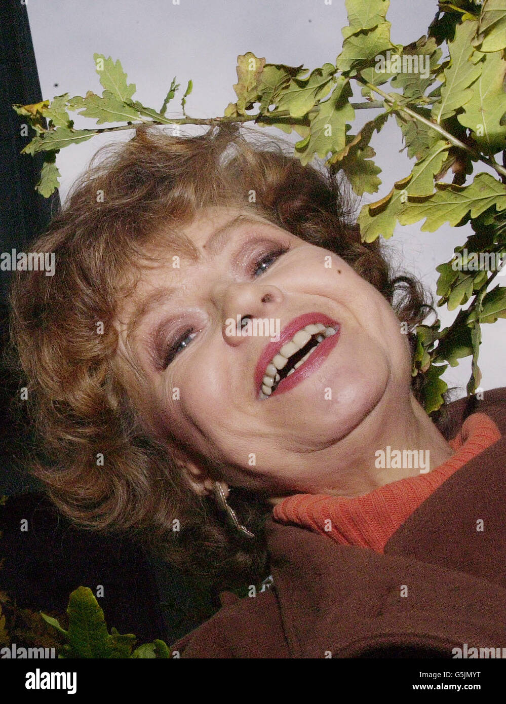 Scales Woodland Trust Banque D'Images