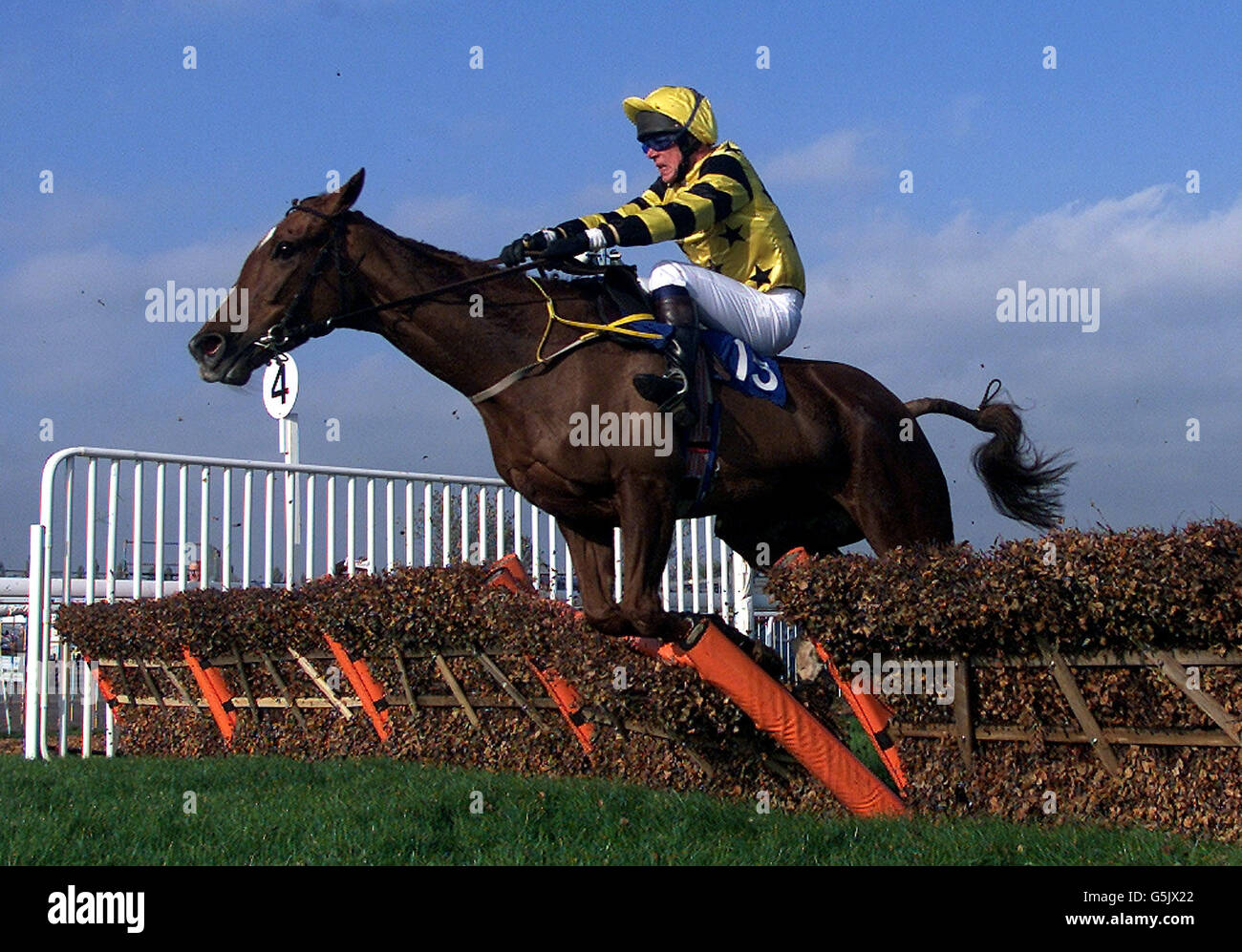 LE CHEVAL ALAN DEMPSEY.Alan Joseph Dempsey, ville de Possip à cheltenham racecourse.Photo David Davies. Banque D'Images