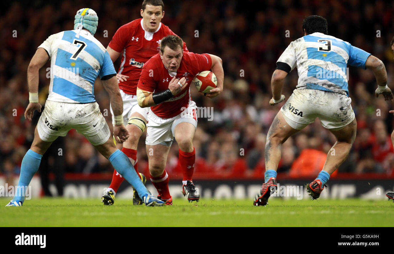 Rugby Union - Dove Men's Series - Pays de Galles v Argentine - Millennium Stadium Banque D'Images