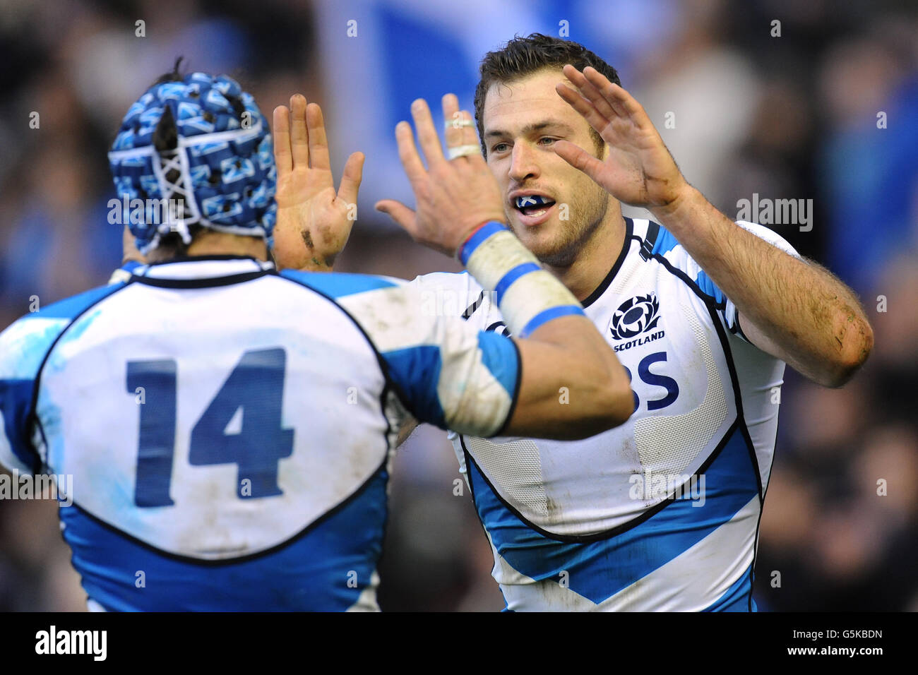 Rugby Union - EMC Test - Ecosse / Nouvelle-Zélande - Murrayfield. Tim visser, en Écosse, célèbre sa deuxième tentative Banque D'Images