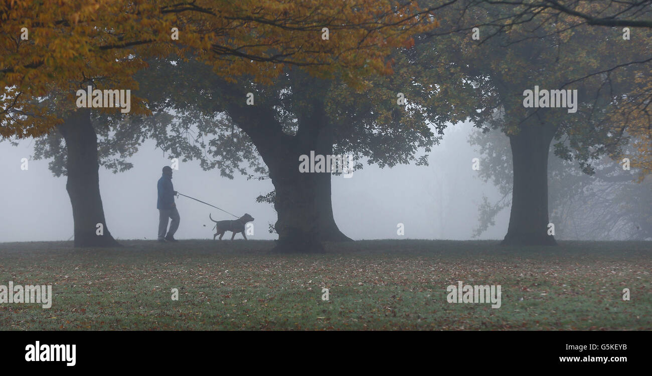 Un homme marche son chien à Redhouse Park, au nord de Birmingham, car le brouillard de nuit a causé des perturbations dans les voyages à travers le Royaume-Uni. Banque D'Images