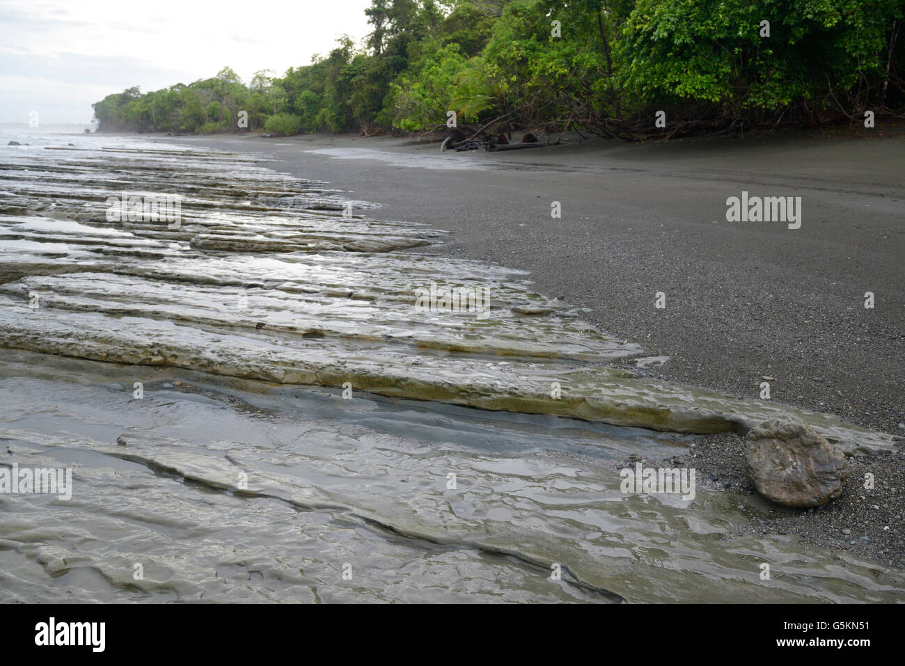 Summer Salt Dive Center Diving Club Costa Rica
