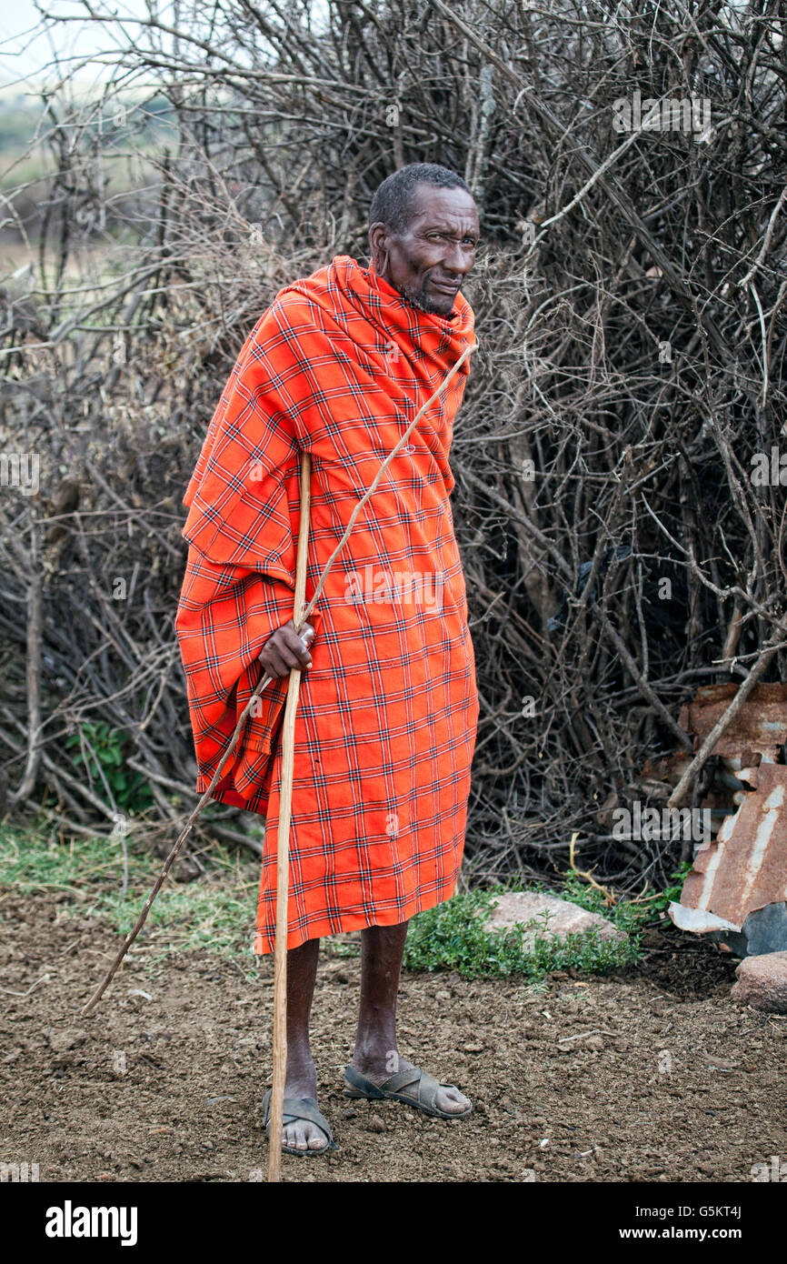 Vieux guerrier Masaï debout dans le village Masai au Kenya, Afrique. Banque D'Images